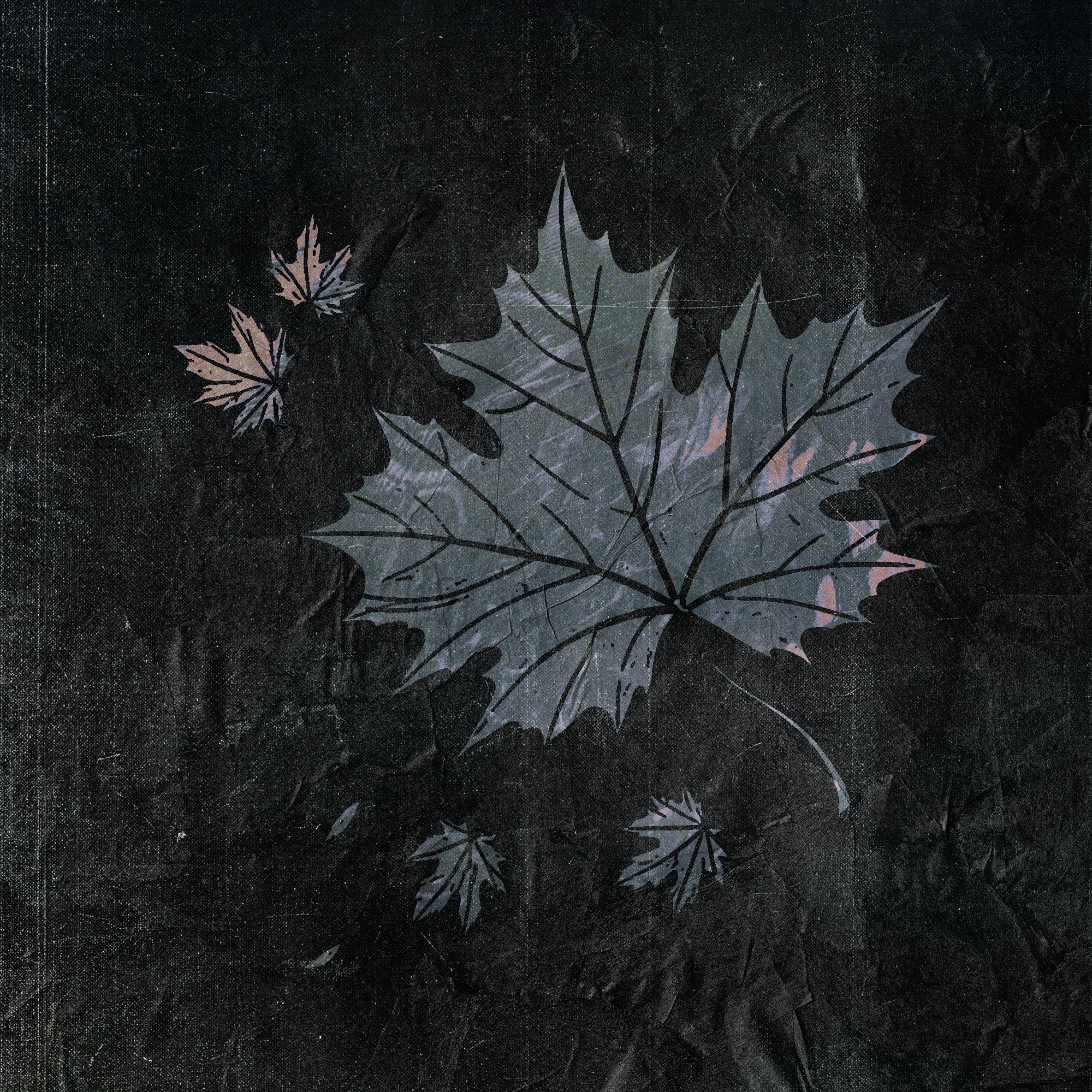 Colors of the Wind - Single album cover