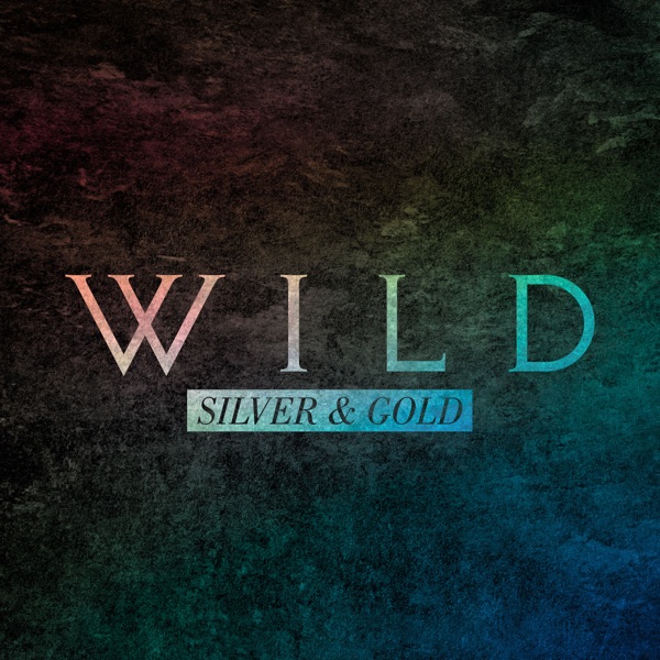 Silver & Gold - Single album cover