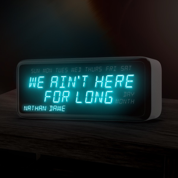 We Ain't Here For Long (Extended Mix) - Single album cover