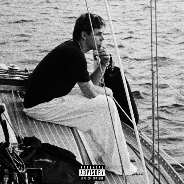 HOT GIRL PROBLEMS - Single album cover