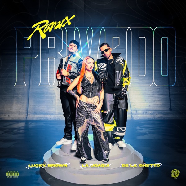 Privado (Remix) - Single album cover