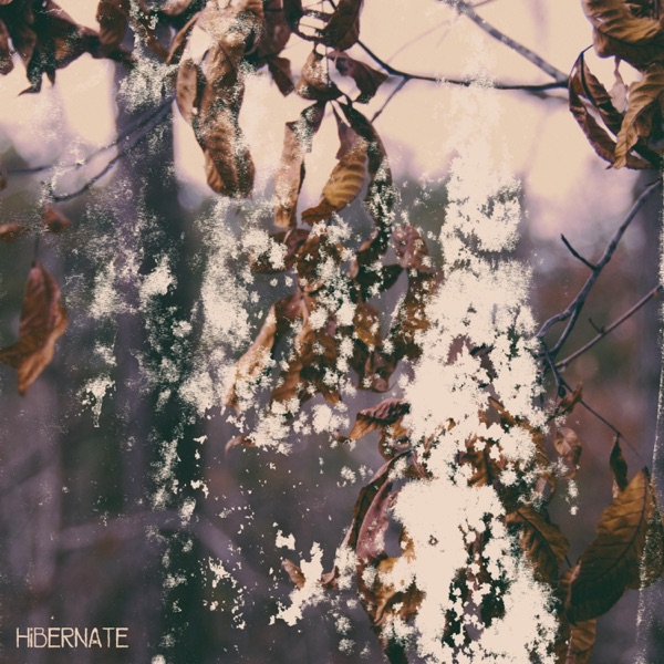 Hibernate album cover