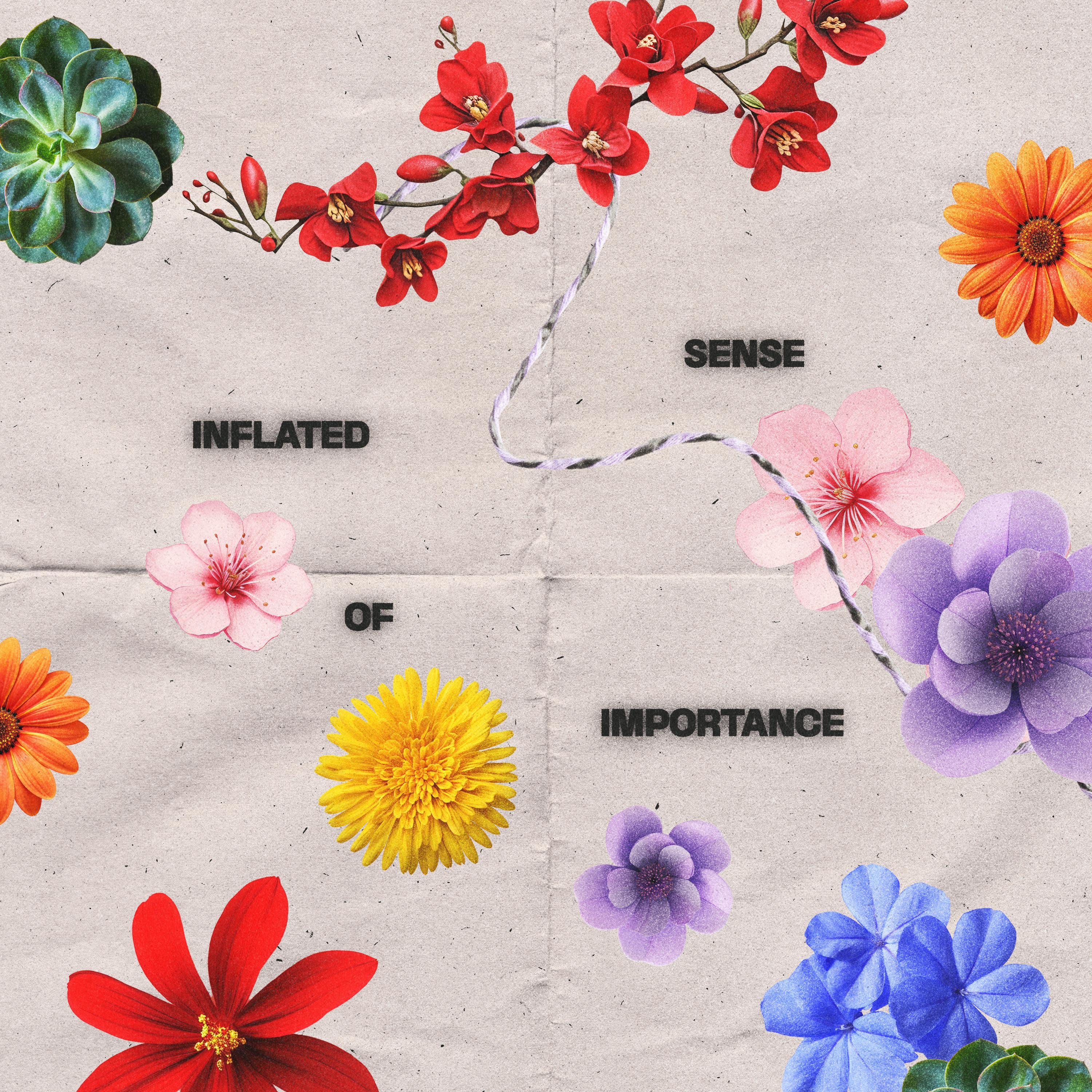 Inflated Sense of Importance album cover