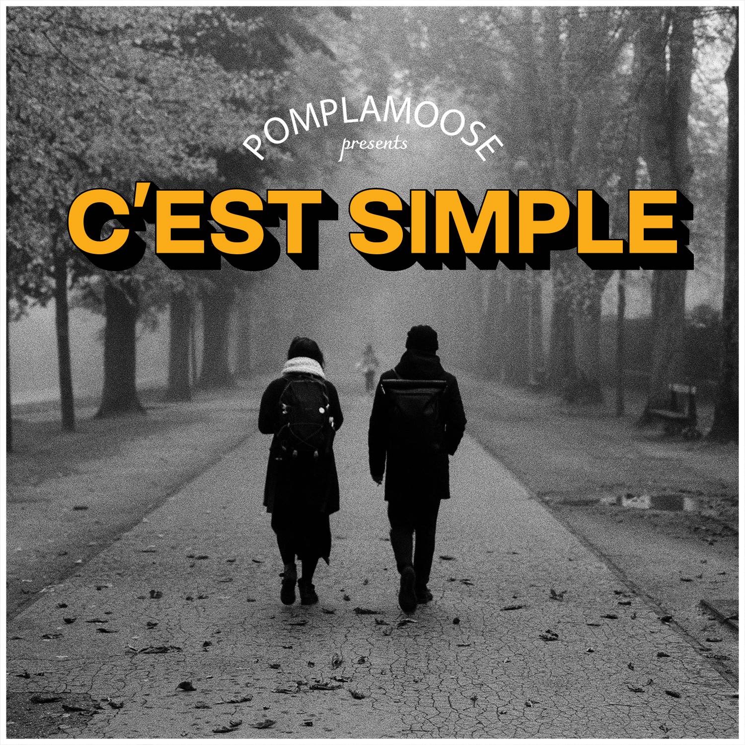 C'est Simple - Single album cover