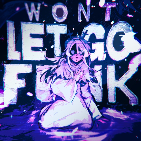 WONT LET GO FUNK - EP album cover