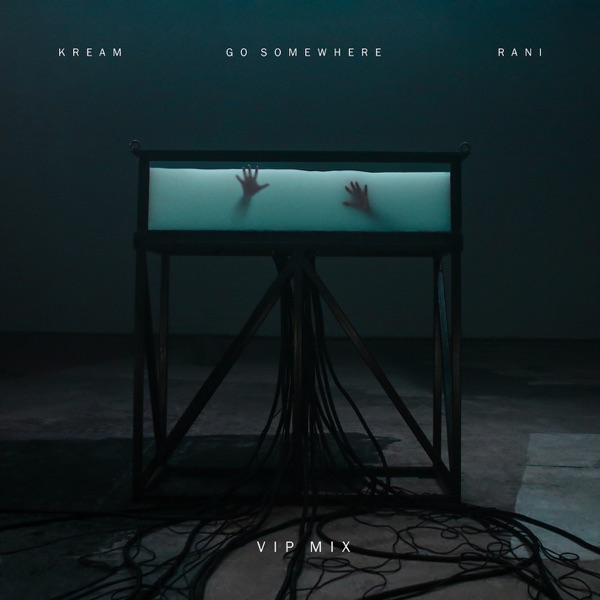 Go Somewhere (feat. RANI) [VIP Mix] - Single album cover
