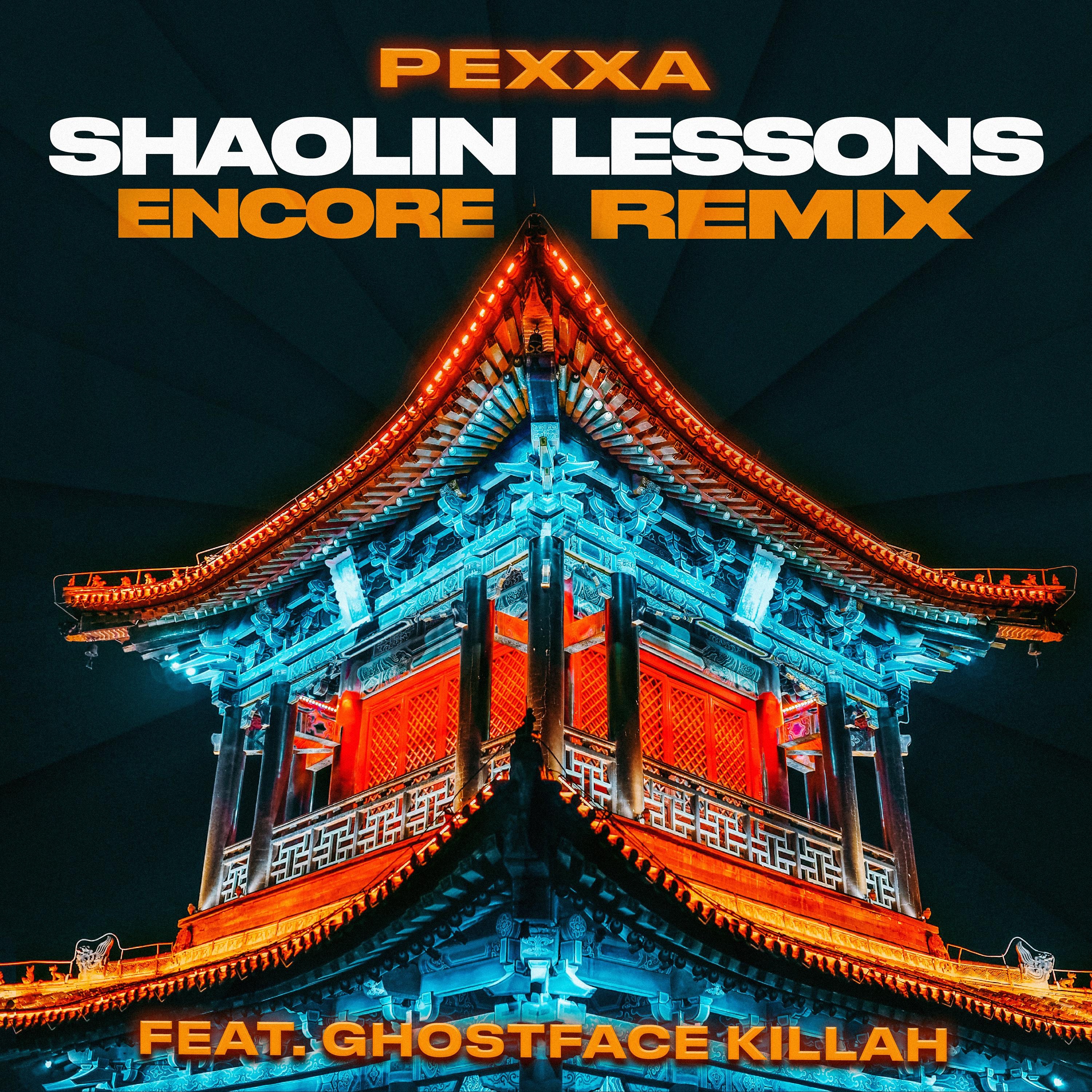 SHAOLIN LESSONS (feat. Ghostface Killah) [ENCORE REMIX] - Single album cover