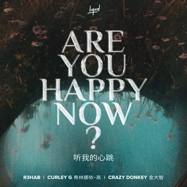 Are You Happy Now - Single album cover