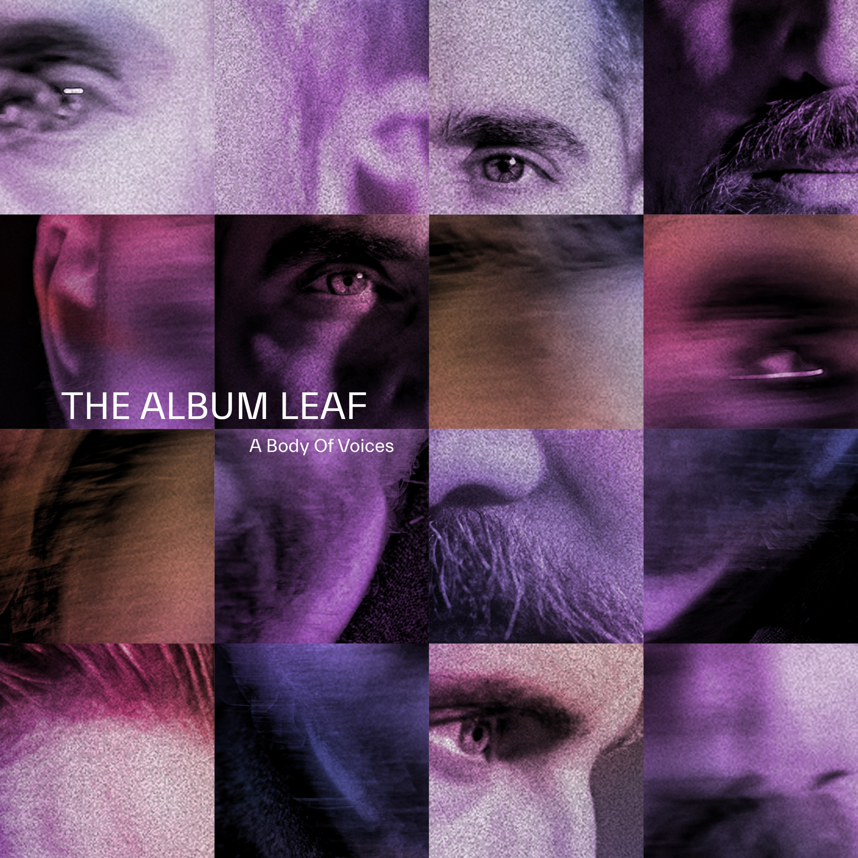 A Body of Voices album cover