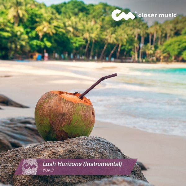 Lush Horizons (Instrumental) - Single album cover
