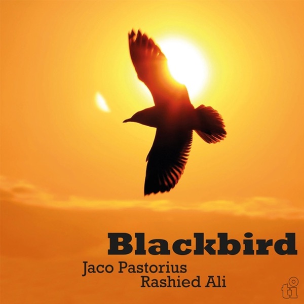 Blackbird (Live) album cover
