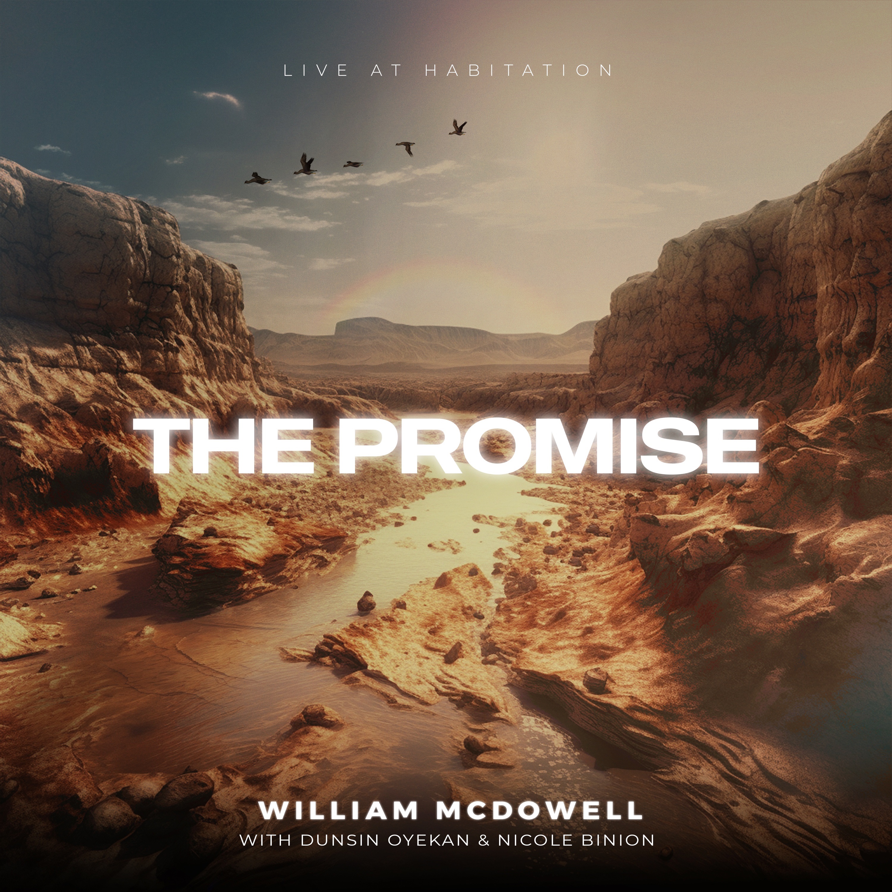 The Promise - EP album cover