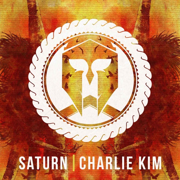 Play with Fire (feat. Charlie Kim) - Single album cover