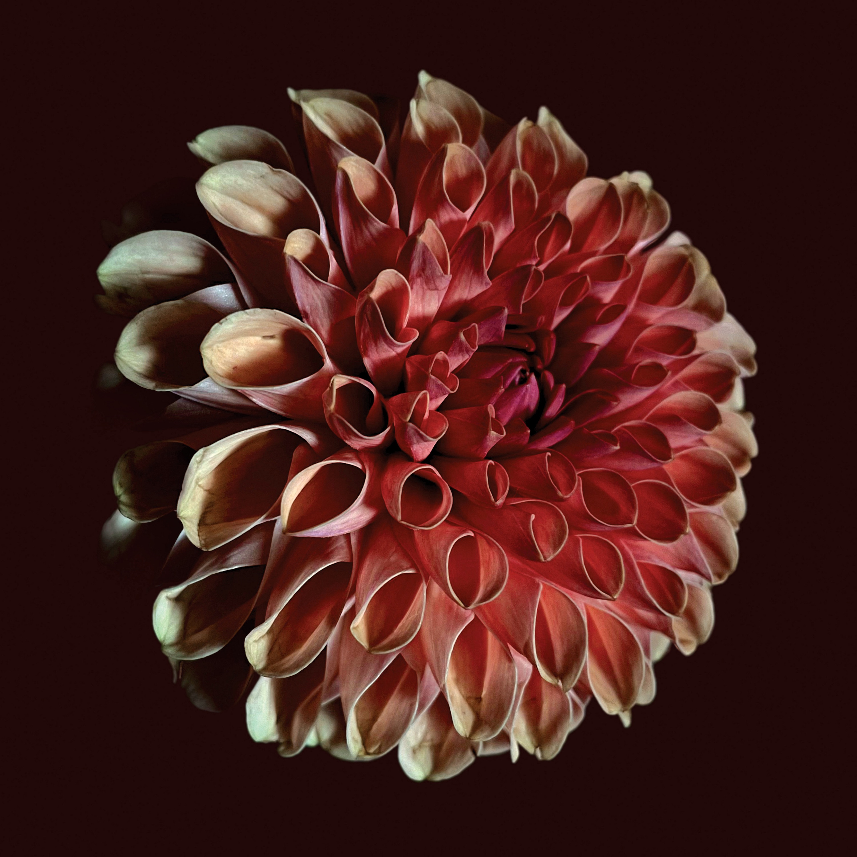 Unfolding album cover