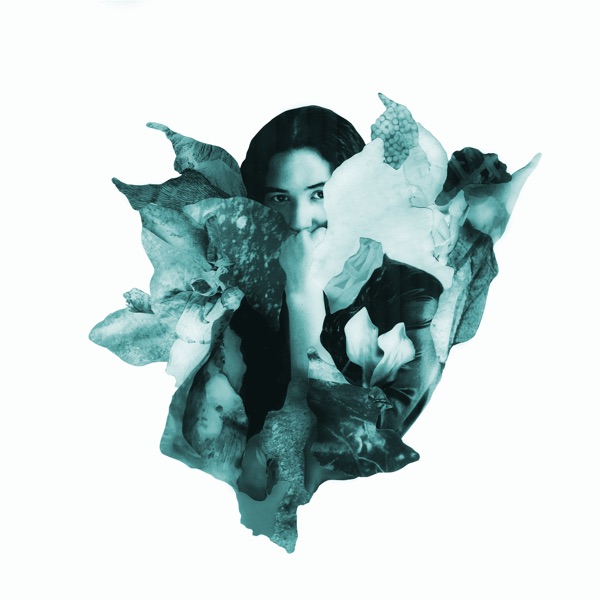 How Do You Do It (Ash Koosha Remix) - Single album cover