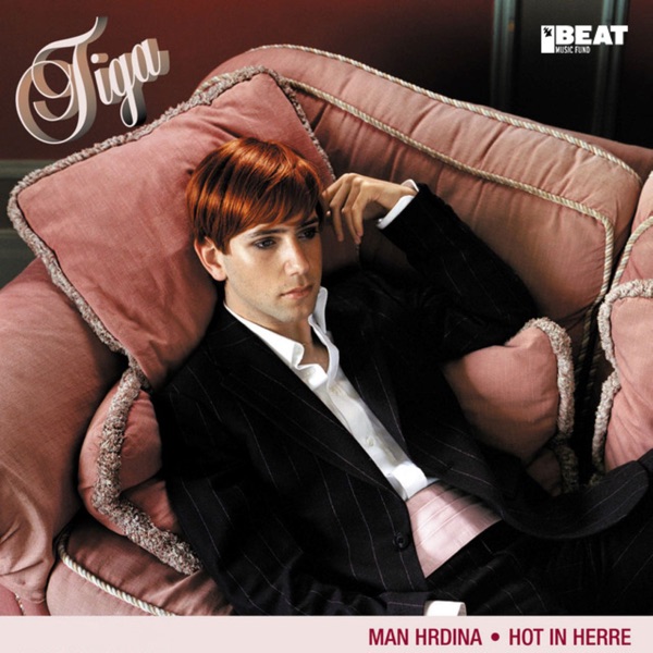 Hot in Herre album cover