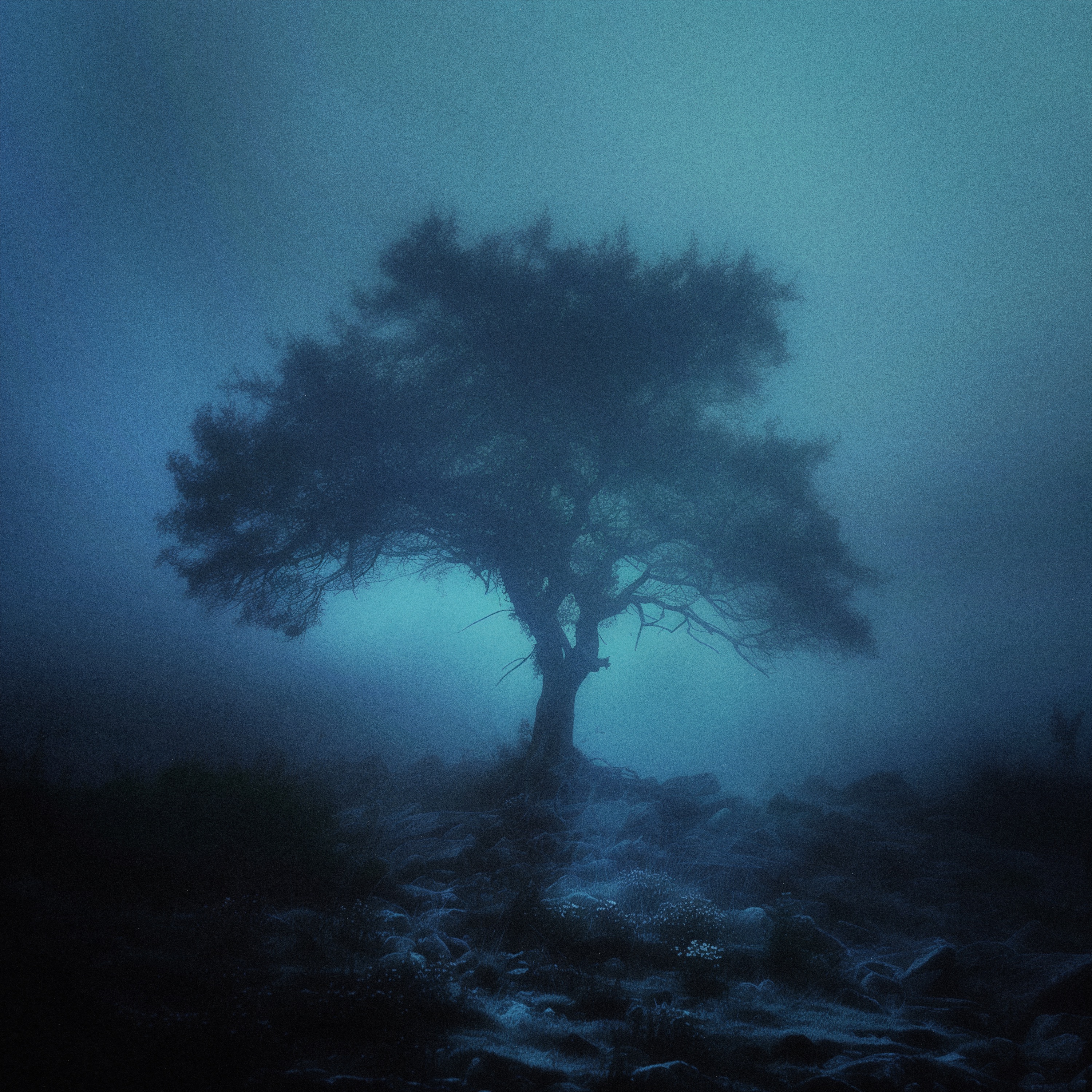 timestop - Single album cover