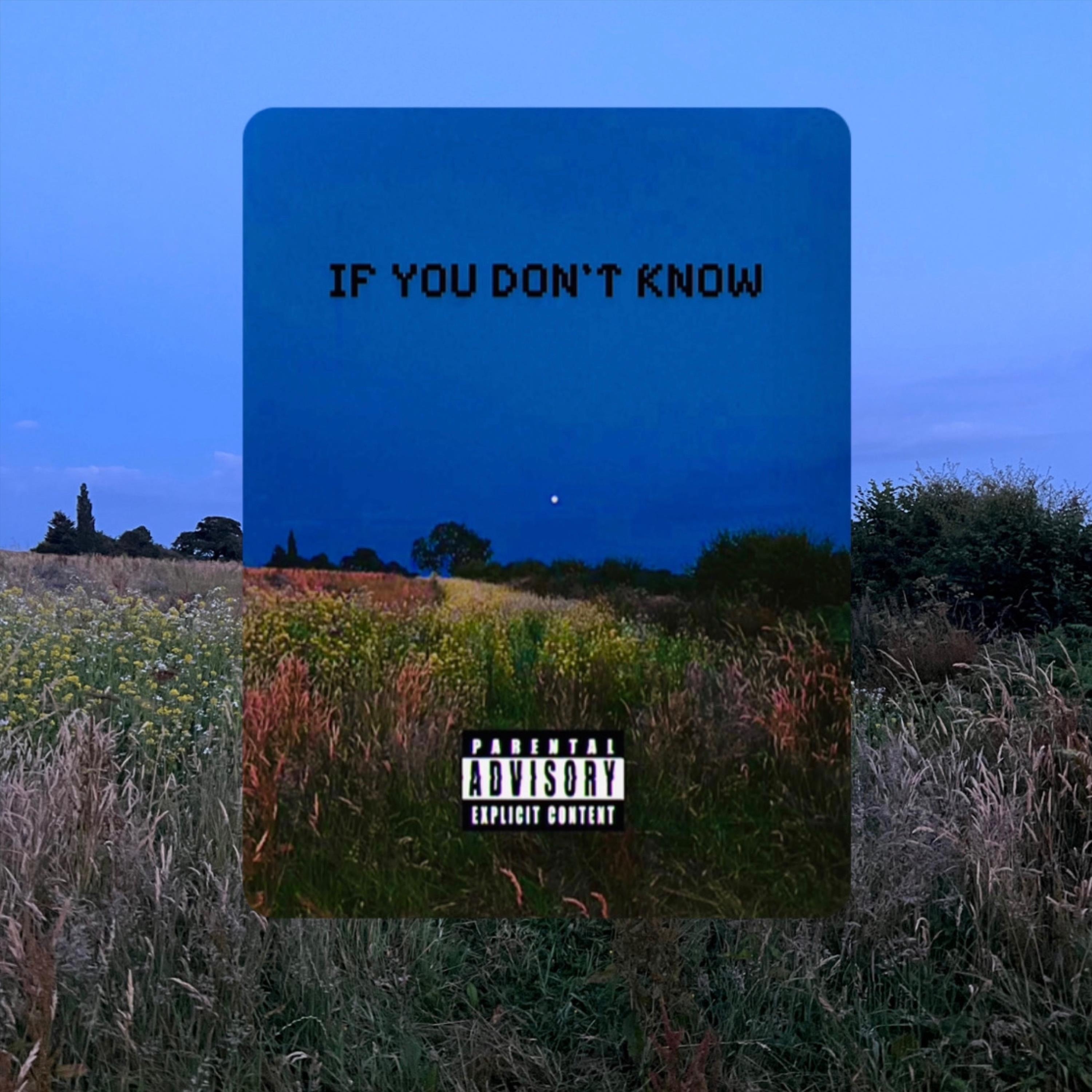 If You Don’t Know (Regee Produces Edit) [feat. Jme] - Single album cover