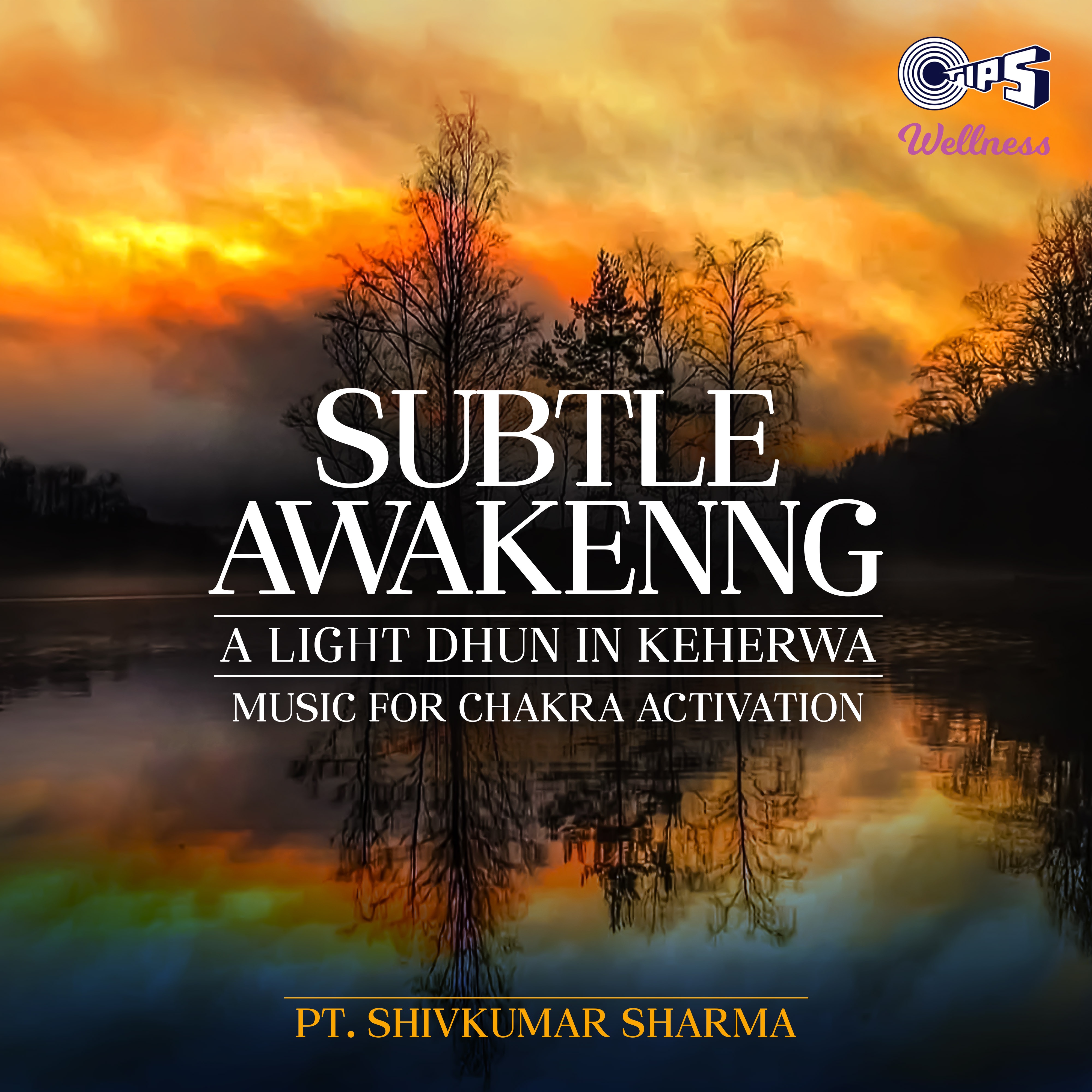 Subtle Awakening - Single album cover