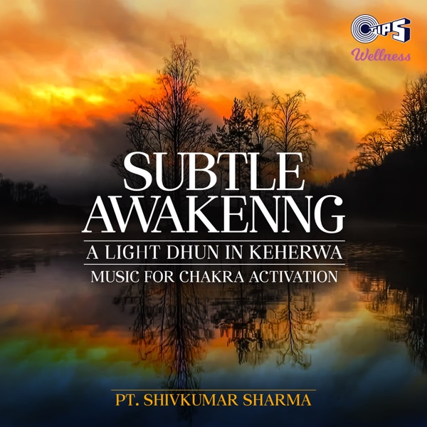 Subtle Awakening - Single album cover