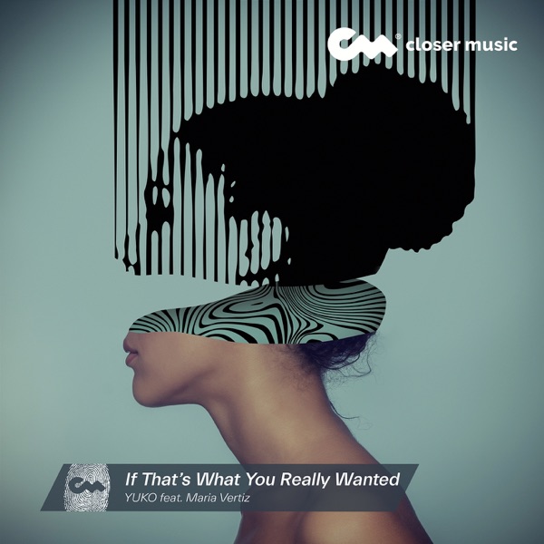 If That's What You Really Wanted (Instrumental) - Single album cover