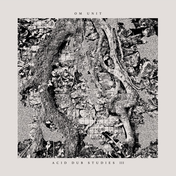 Acid Dub Studies III album cover