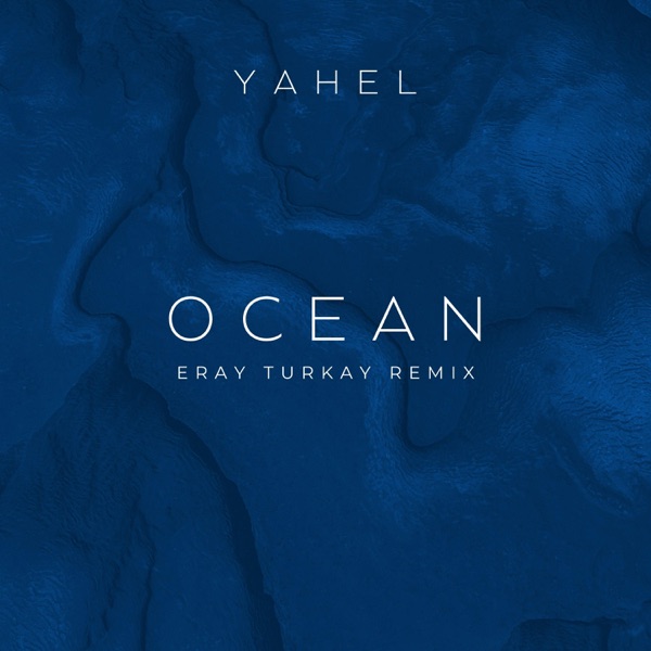 Ocean (Eray Turkay Remix) - Single album cover