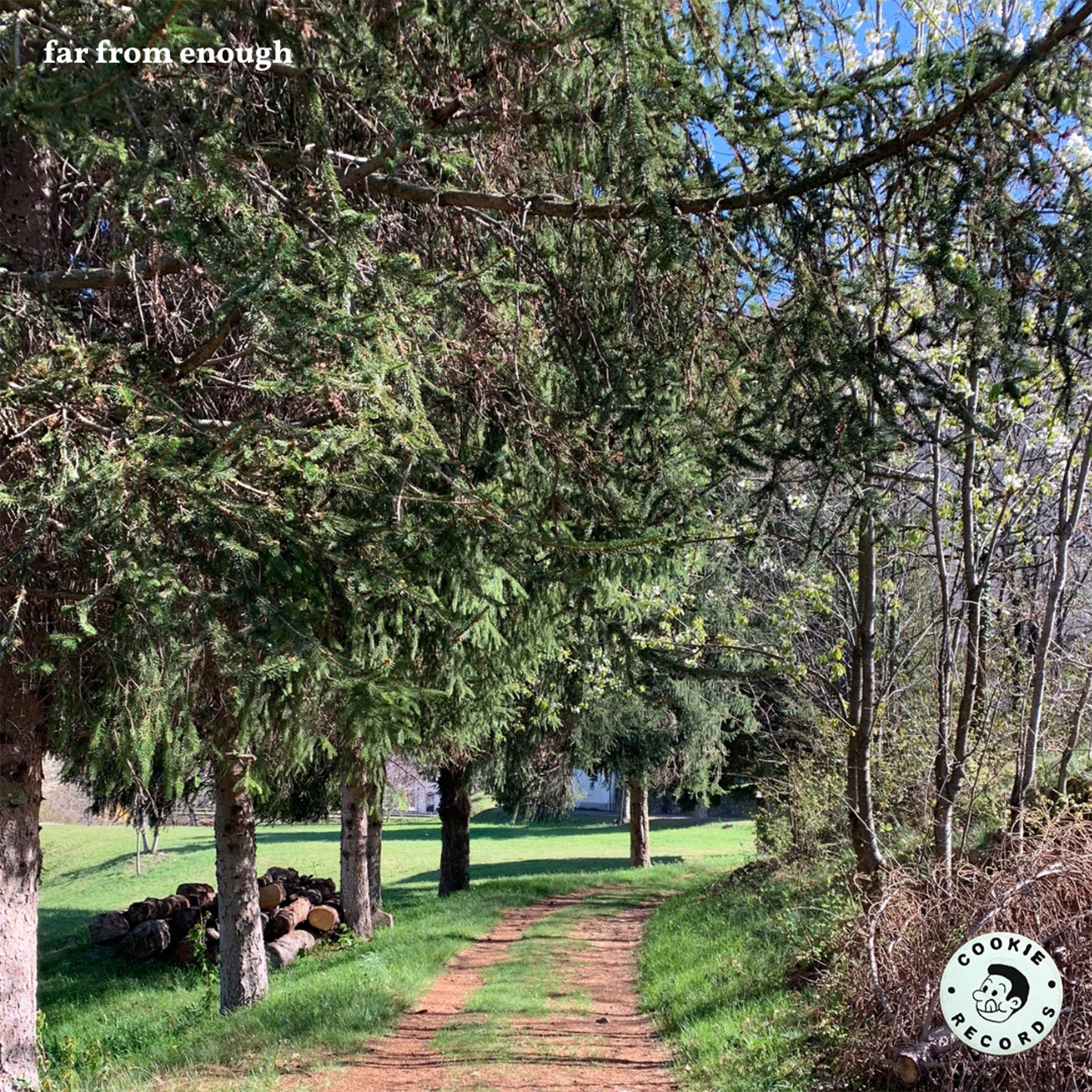 far from enough - Single album cover