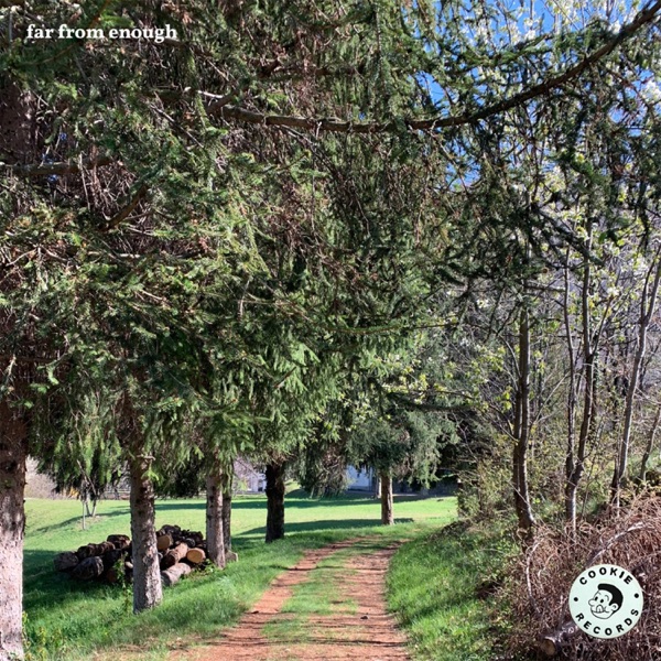 far from enough - Single album cover
