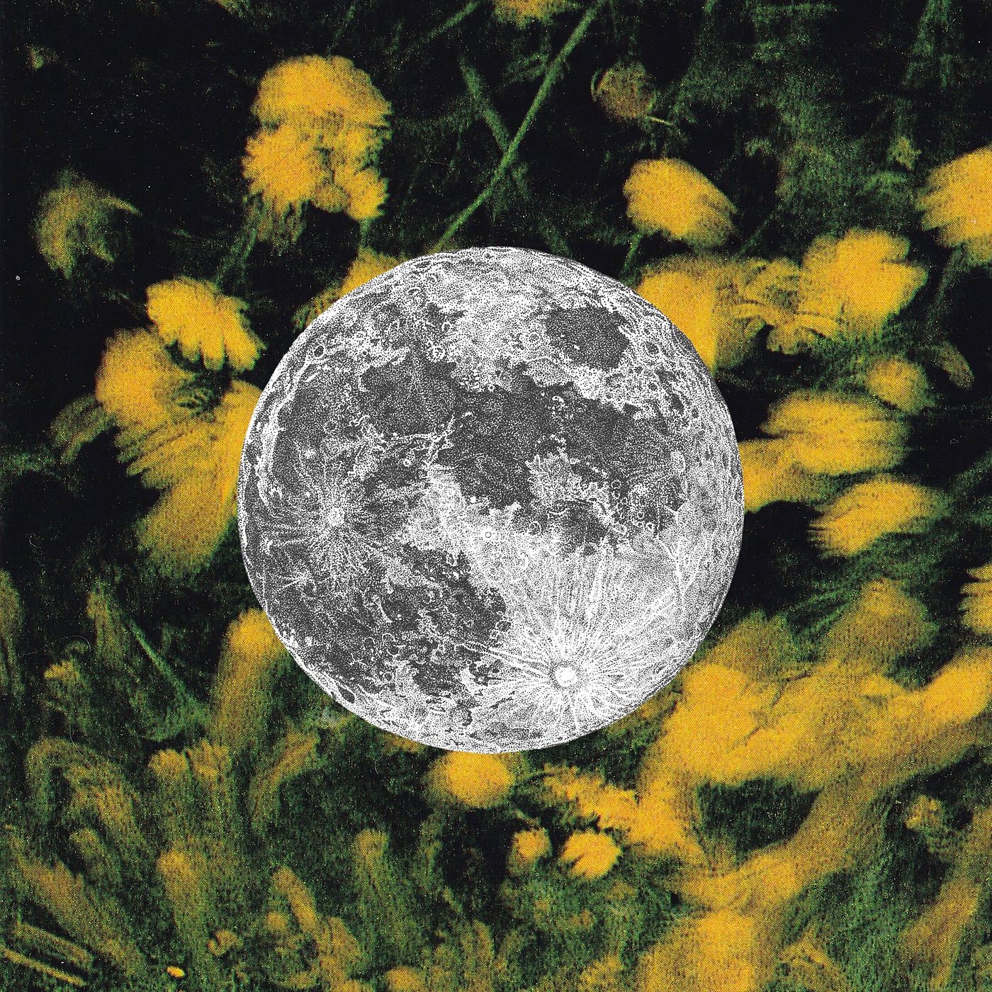 All-Nighter (Squirrel Flower Version) - Single album cover