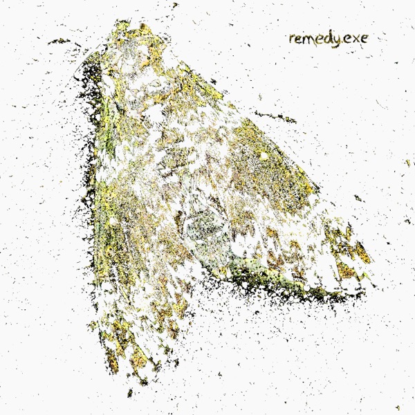 remedy.exe (Acoustic Version) - Single album cover