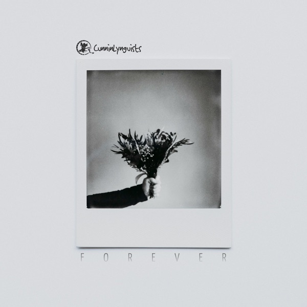 Forever - Single album cover