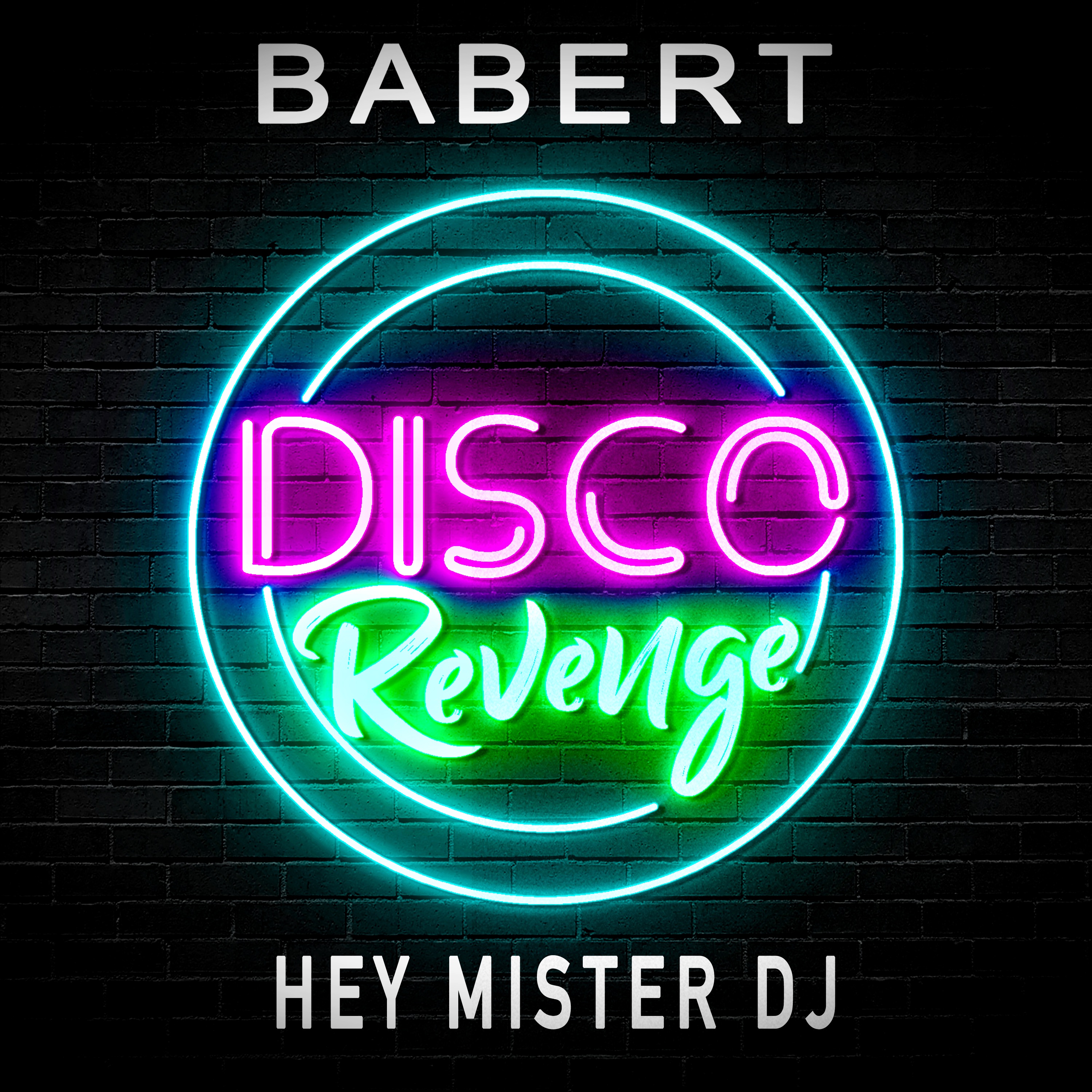 Hey Mister DJ - Single album cover