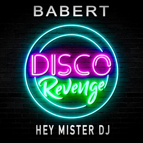 Hey Mister DJ - Single album cover