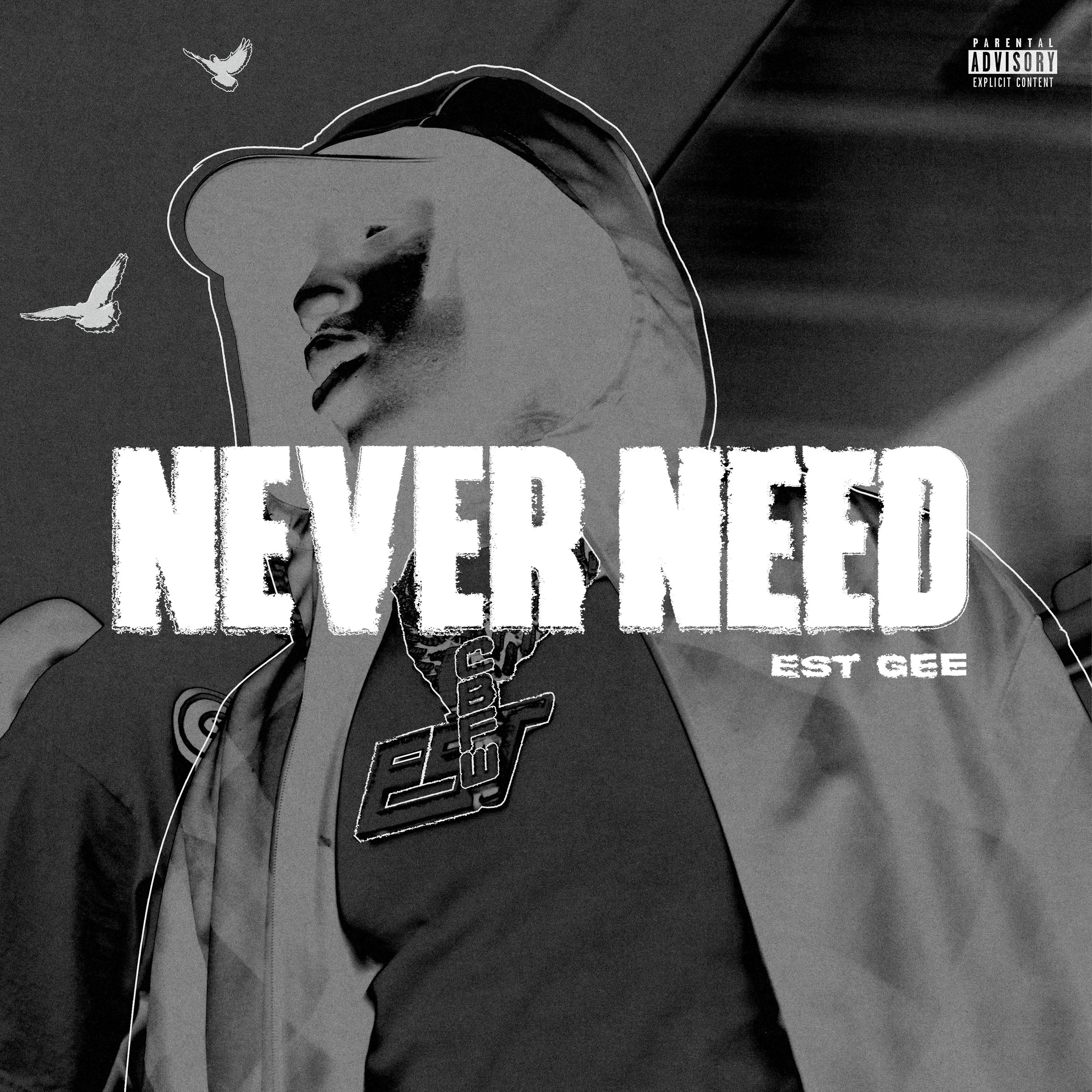 NEVER NEED (feat. Selfpaid Savage) - Single album cover