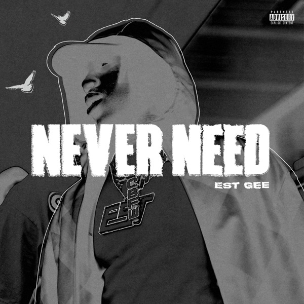 NEVER NEED (feat. Selfpaid Savage) - Single album cover