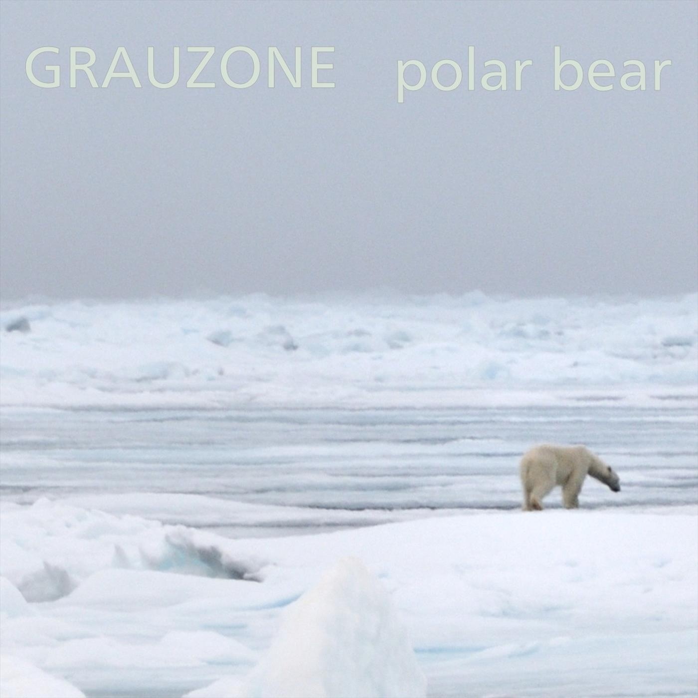polar bear - Single album cover