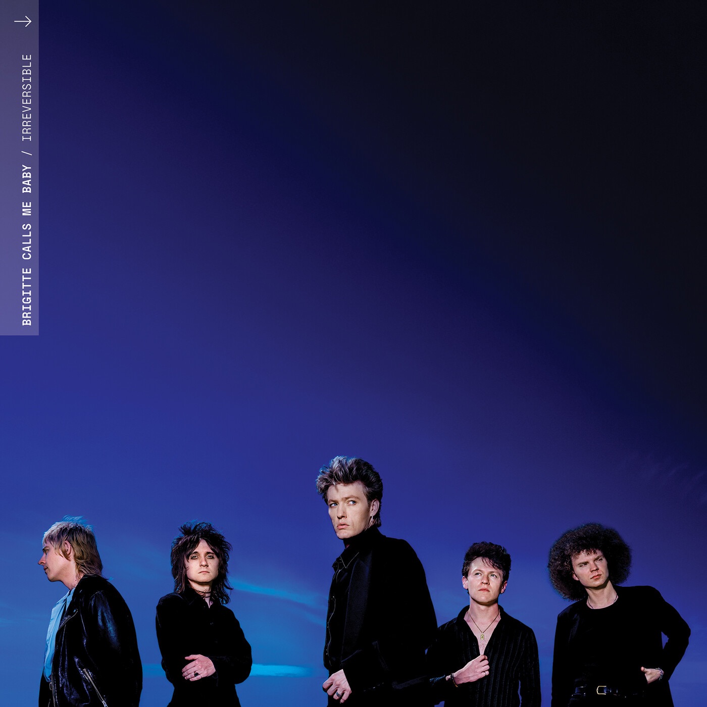 Irreversible album cover