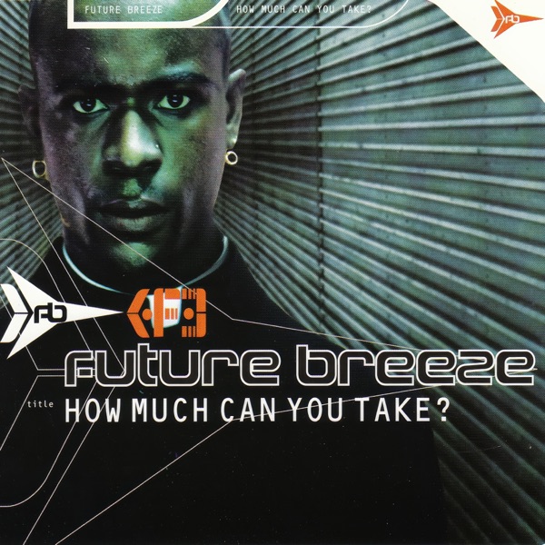 How Much Can You Take? - EP album cover