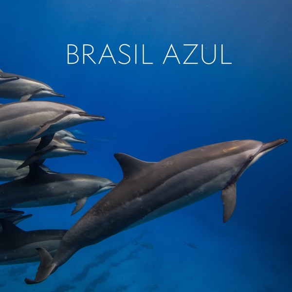 Brasil Azul (Trilha Sonora Original do Filme) album cover