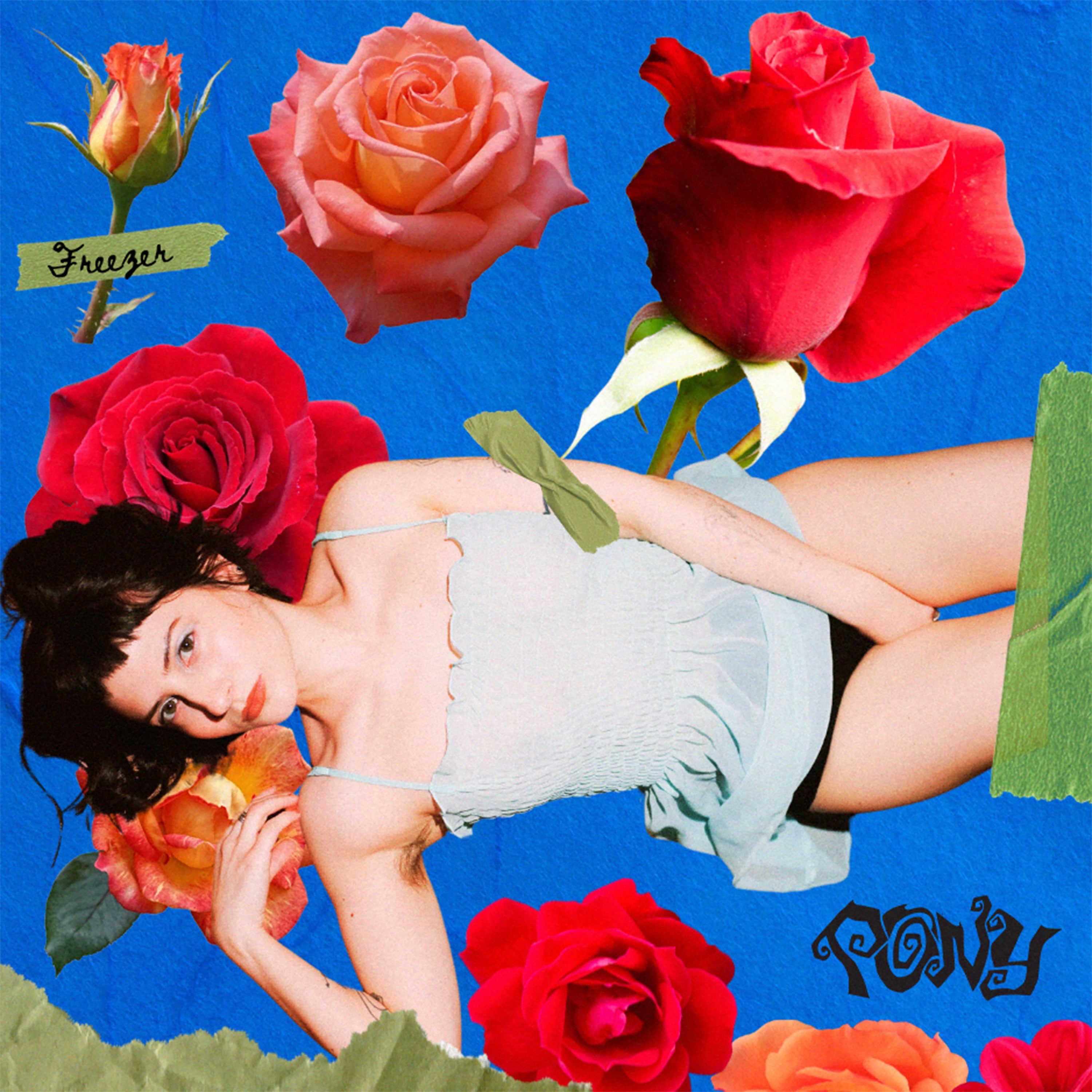 Freezer - Single album cover