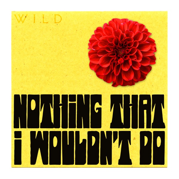Nothing That I Wouldn’t Do - Single album cover