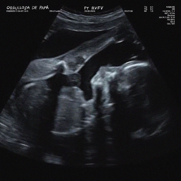 Orgullosa De Papá - Single album cover