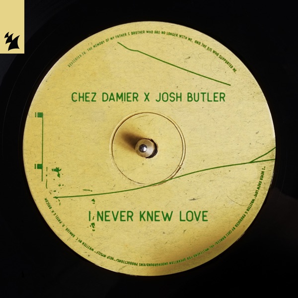 I Never Knew Love - Single album cover