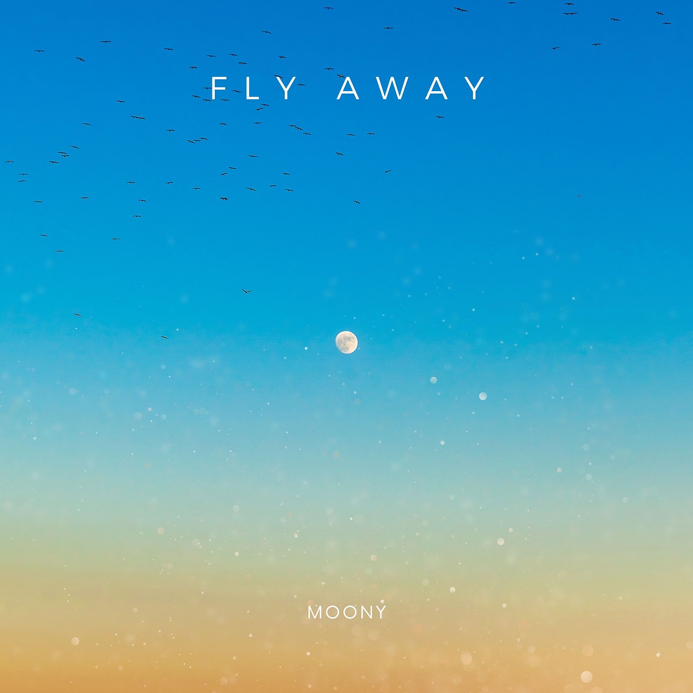 Fly Away - Single album cover