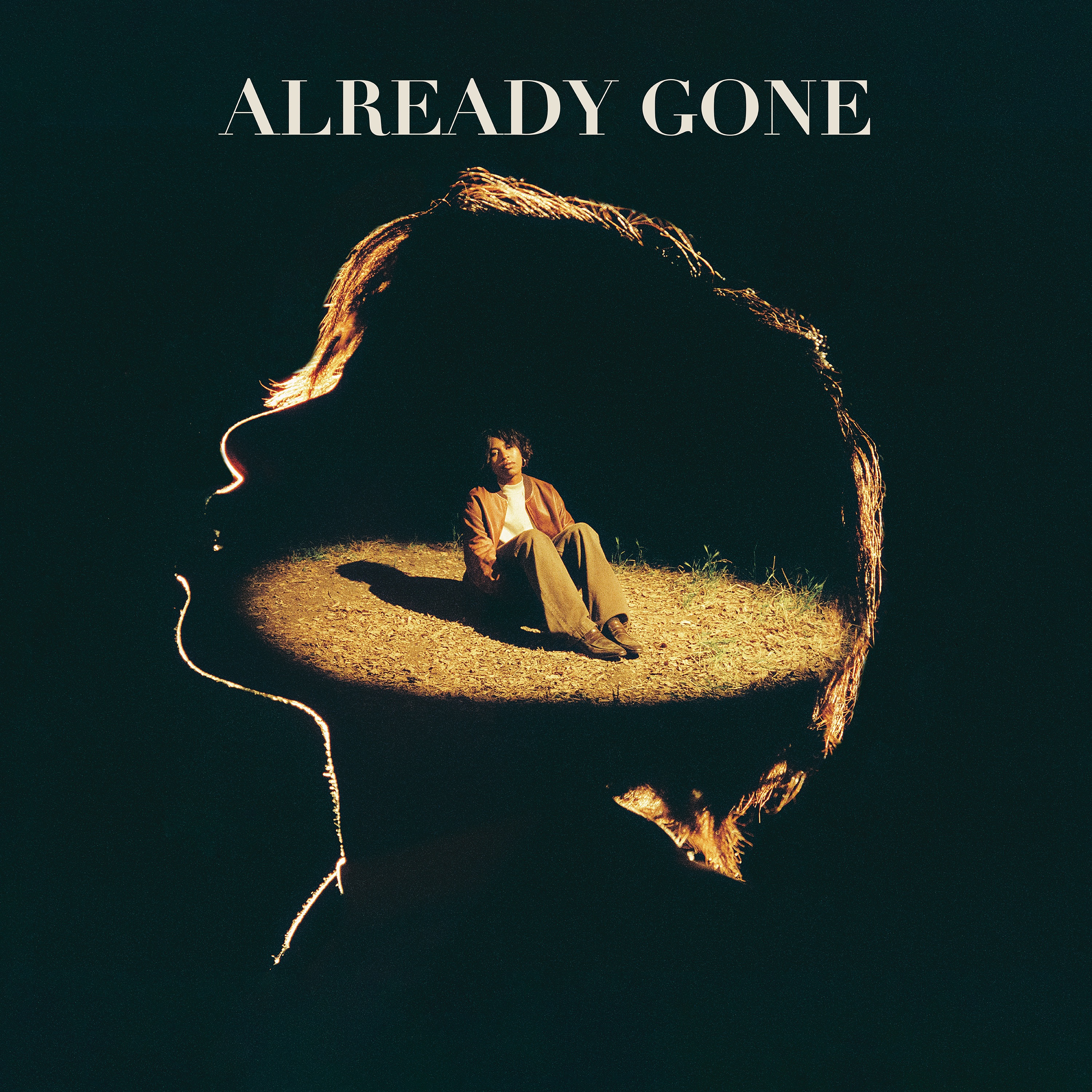 Already Gone - Single album cover
