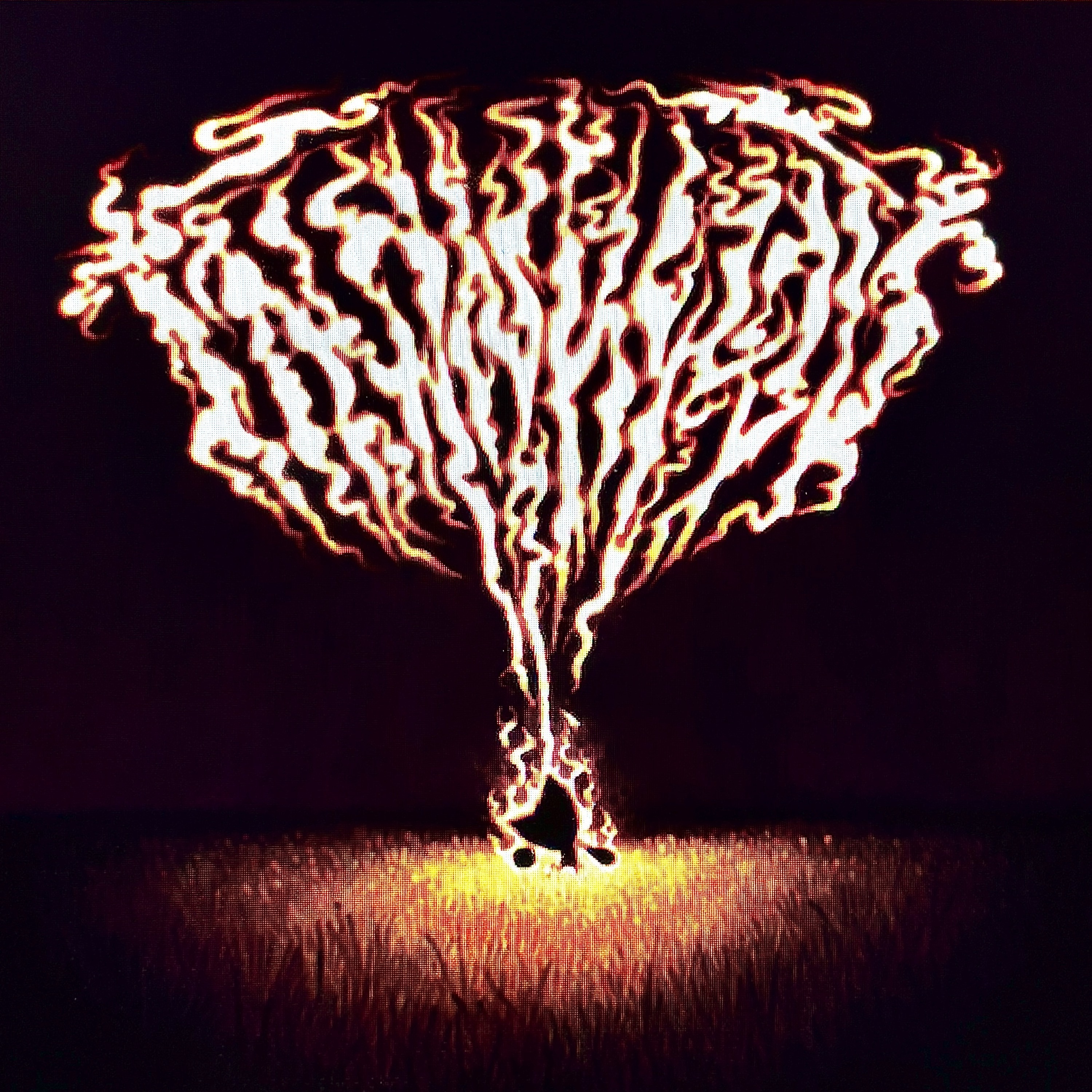 MAN BITES DOG album cover