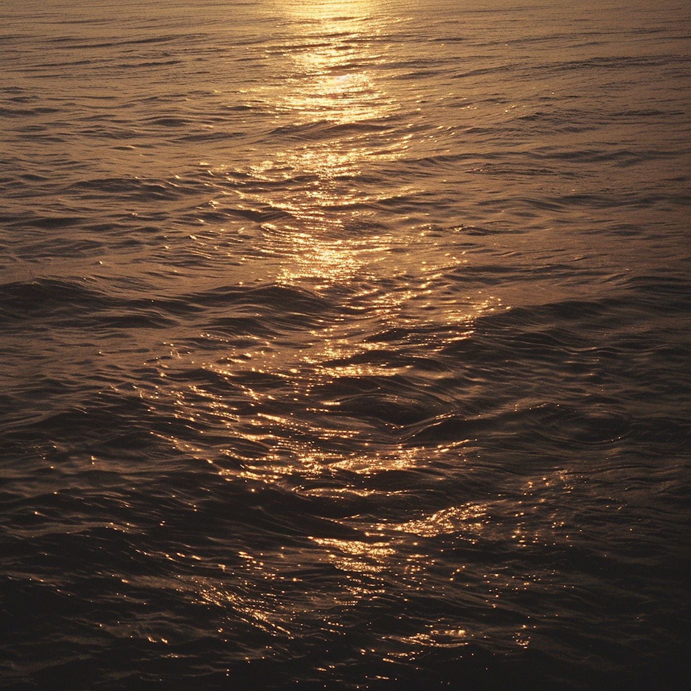 Quietly album cover