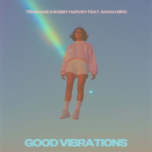 Good Vibrations (feat. Sarah Bird) - Single album cover