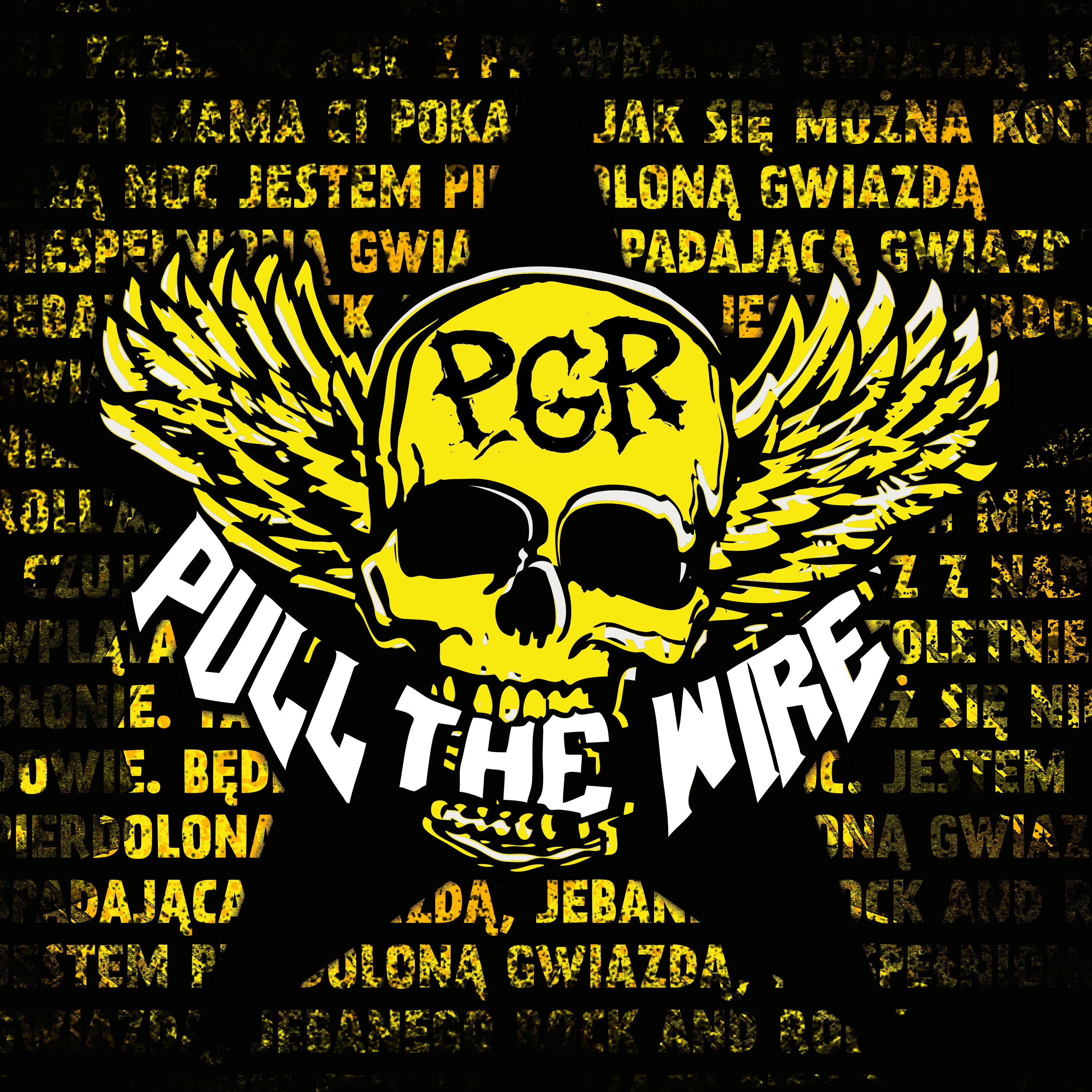 PGR (Radio Edit Live) - Single album cover